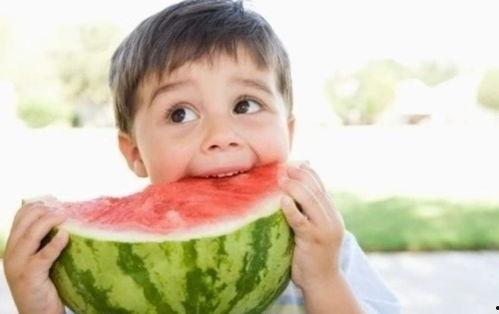 小宝带你吃瓜娱乐圈小说,瓜田里的那些事儿